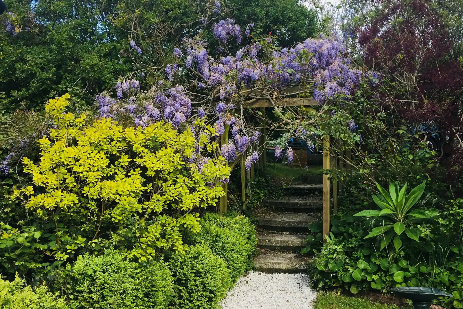 Glorious Garden 