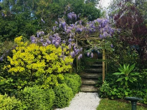 Glorious Garden 