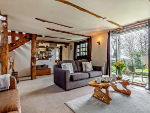 Living room with sofa bed