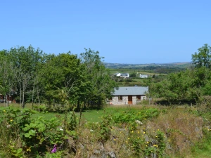 Piglet from the lane approaching the property.