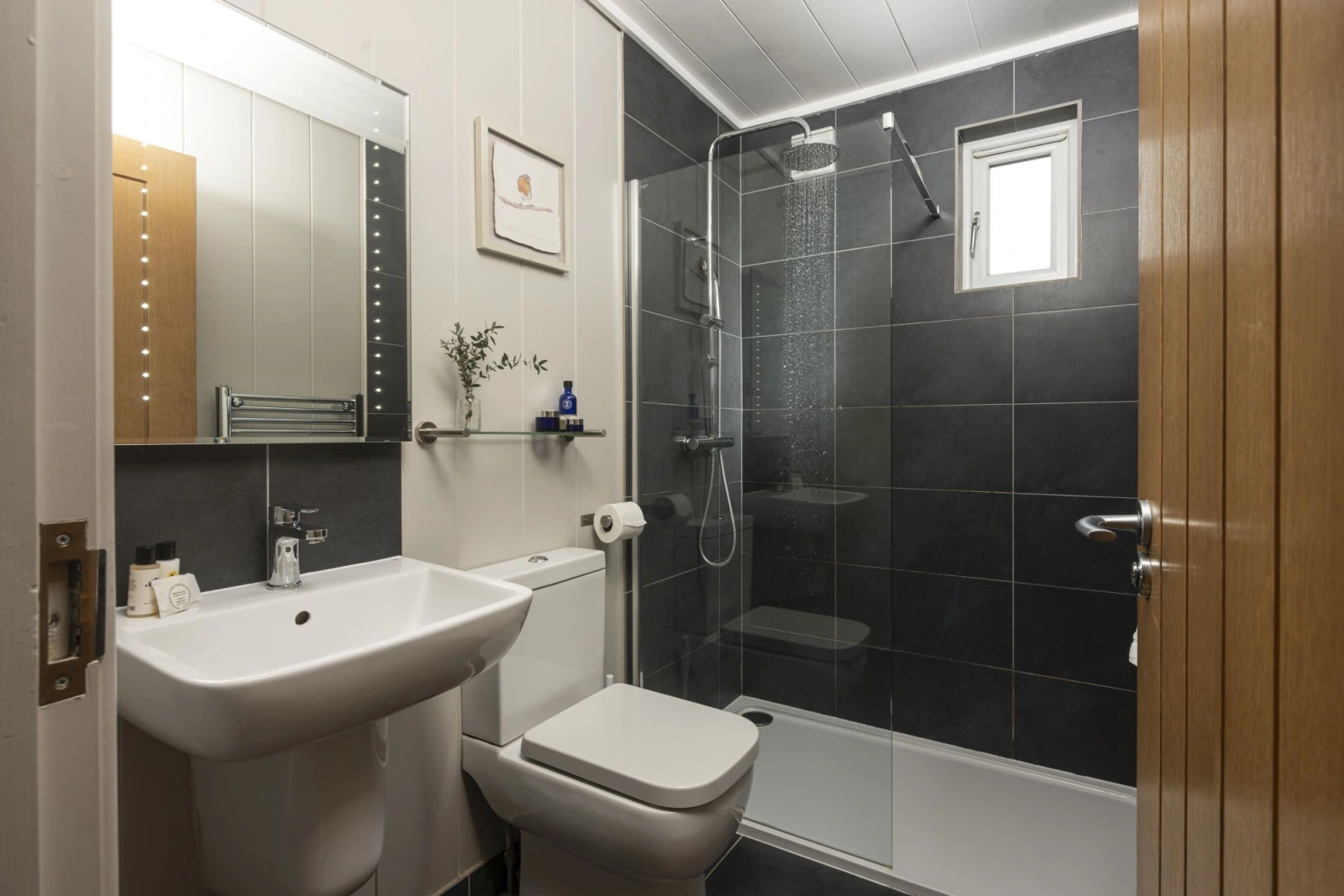 En suite bathroom, walk-in shower, toilet, basin and heated towel rail - Blackbird Lodge 