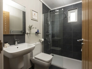 En suite bathroom, walk-in shower, toilet, basin and heated towel rail - Blackbird Lodge 
