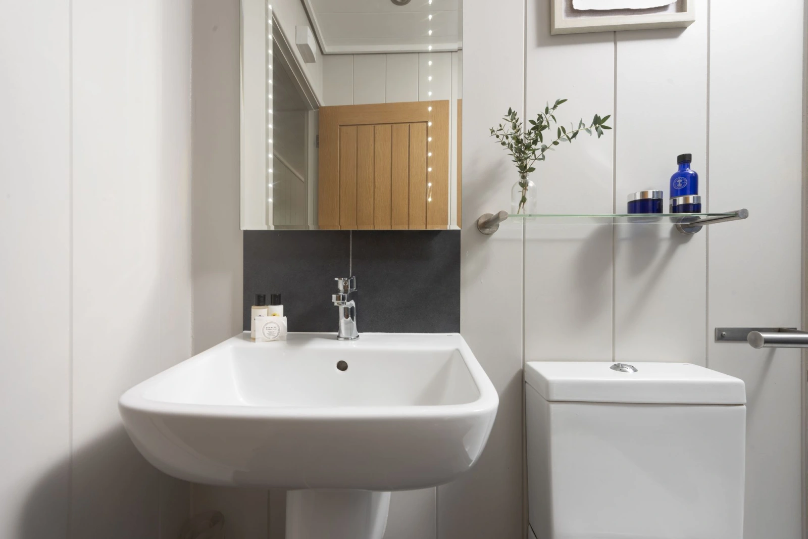 Bathroom cabinet, basin, mirror and toilet  - Blackbird Lodge 
