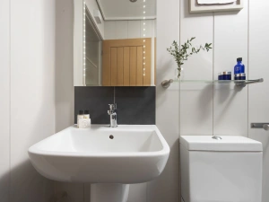 Bathroom cabinet, basin, mirror and toilet  - Blackbird Lodge 