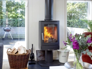 Wood burning fireplace in living area - The Sleights, Strawberryfield Park