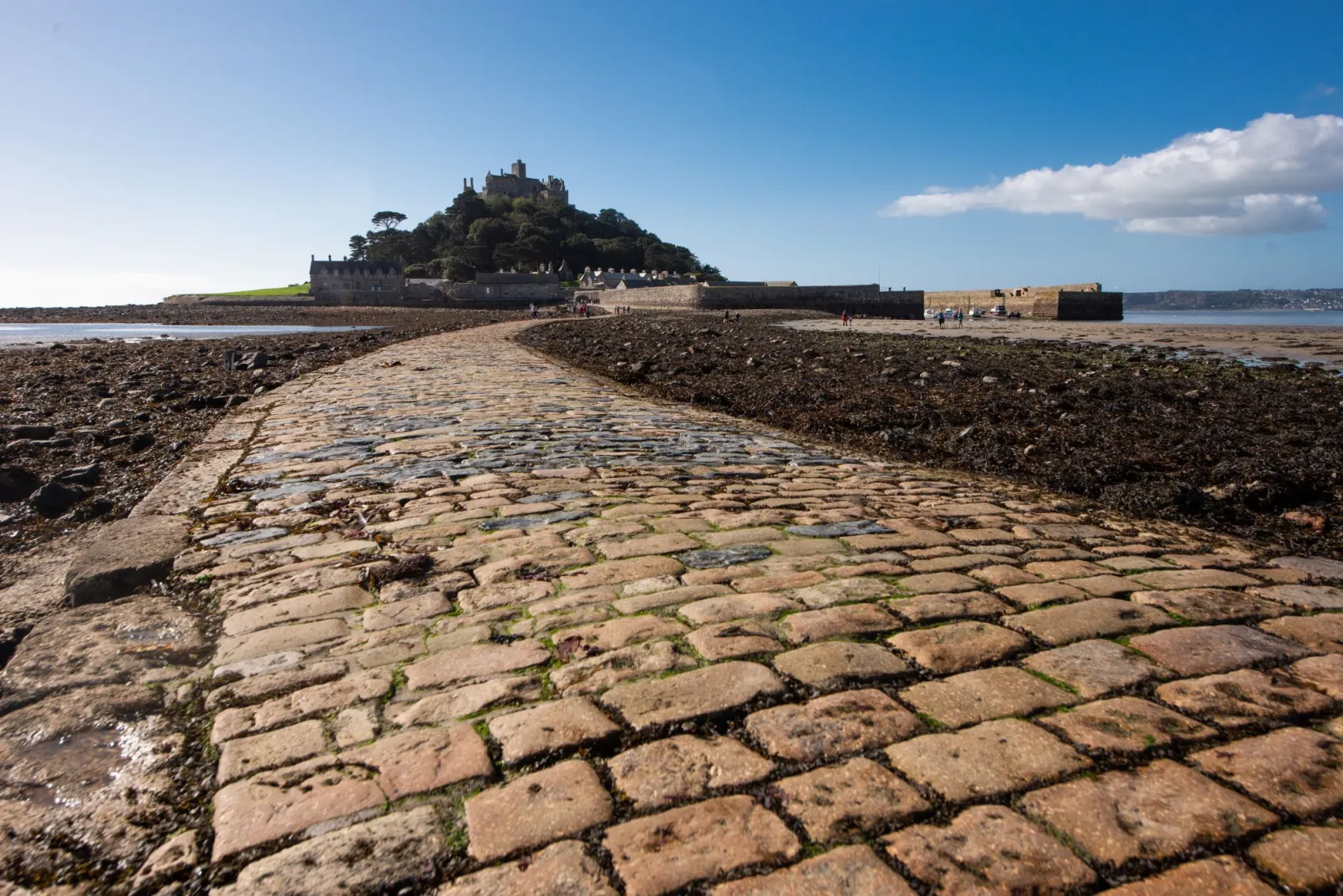 Property image 6 for LC560723