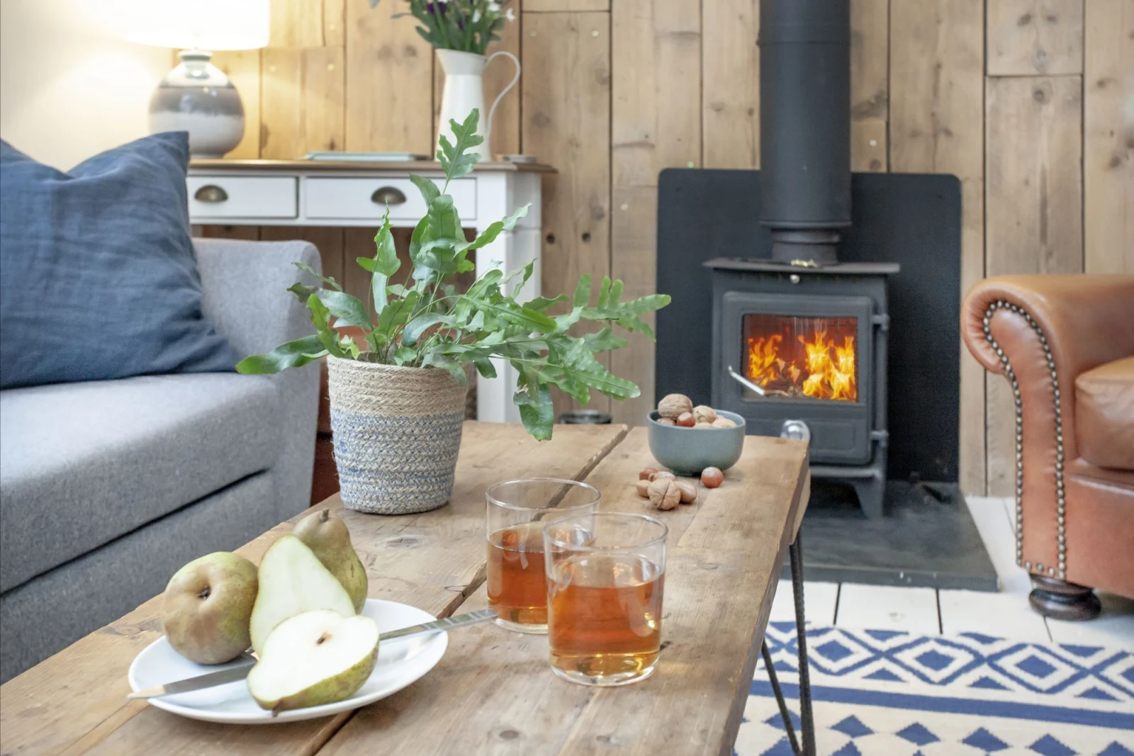 Woodburner in living room - Birdcage Cottage