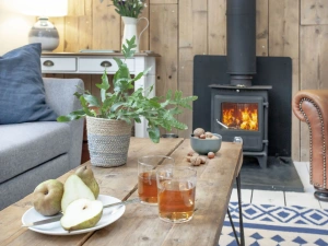 Woodburner in living room - Birdcage Cottage