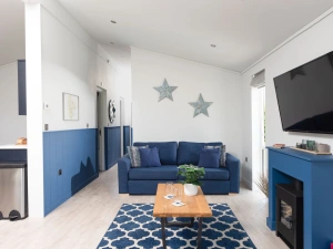 A sofa, fireplace and TV for guests - Buttercup Lodge 