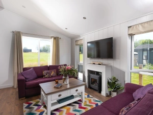 Comfortable sofas and an electric fireplace for heating - Forget Me Not Lodge 