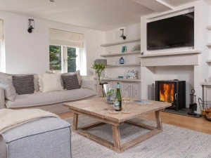 Cosy lounge area with fireplace and entertainment - The Haybarn