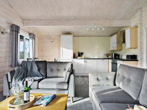 Open plan living, dining and kitchen area - Chestnut, 6 Fingle Glen Lodges