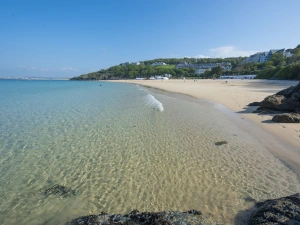 Local Beach