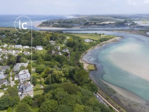 Birds Eye View of Hayle Estuary - The Elms