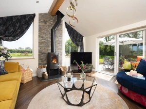 Television and a cosy fireplace - Highfield Barton