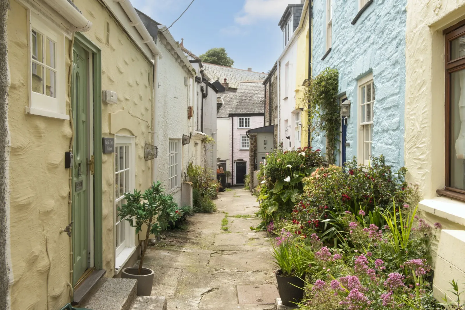 Charming street - Bessie Ellen's Cottage