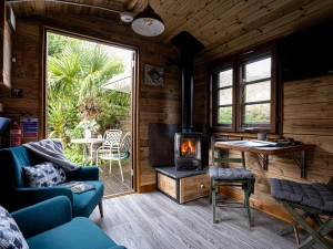 Woodburning stove - Pedney