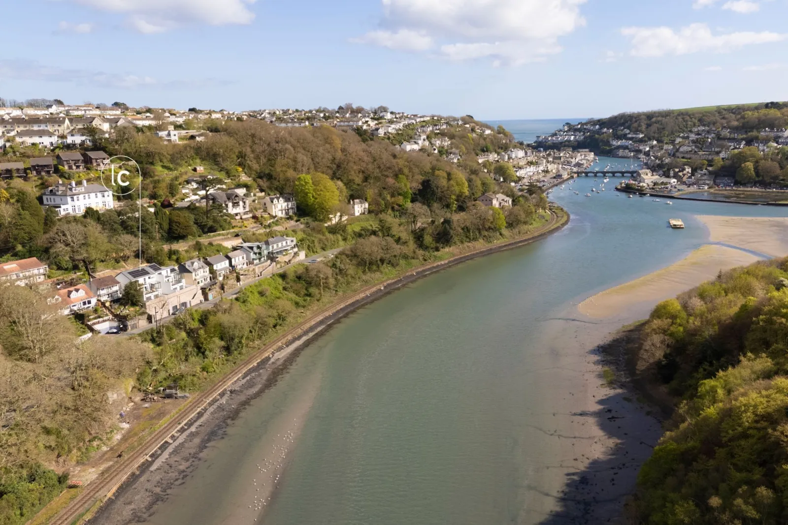 Birds eye view - Redshank