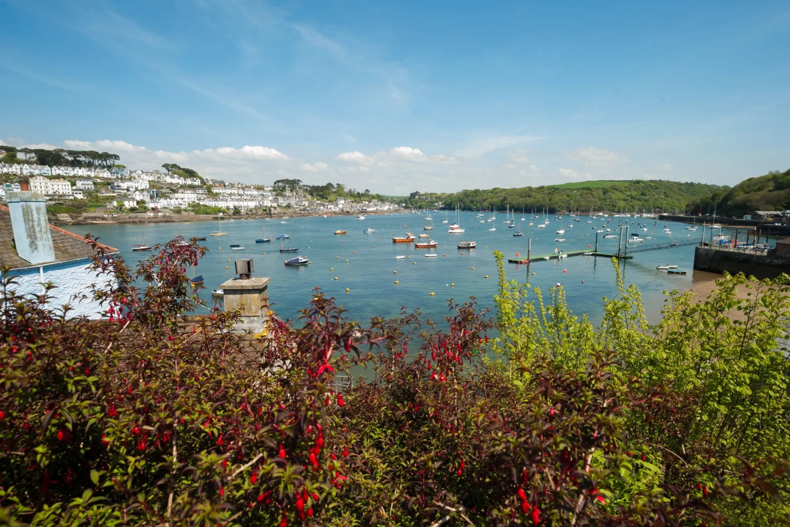 Fowey area
