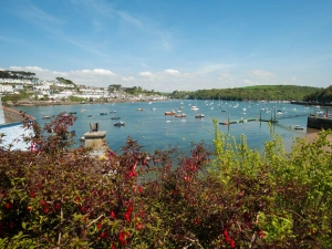 Fowey area