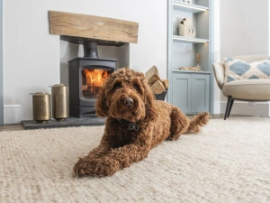 Dog friendly cottage - Myrtle Cottage