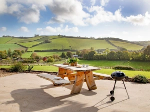 Outdoor seating, BBQ and countryside view  - Longpark Linhay