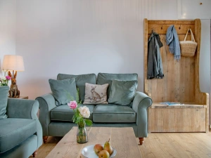 Comfy sofas and TV with coffee table and coat rack  - Longpark Linhay