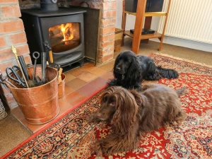 Property image 6 for SC1008048
