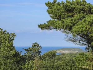 Property image 5 for SC1008756
