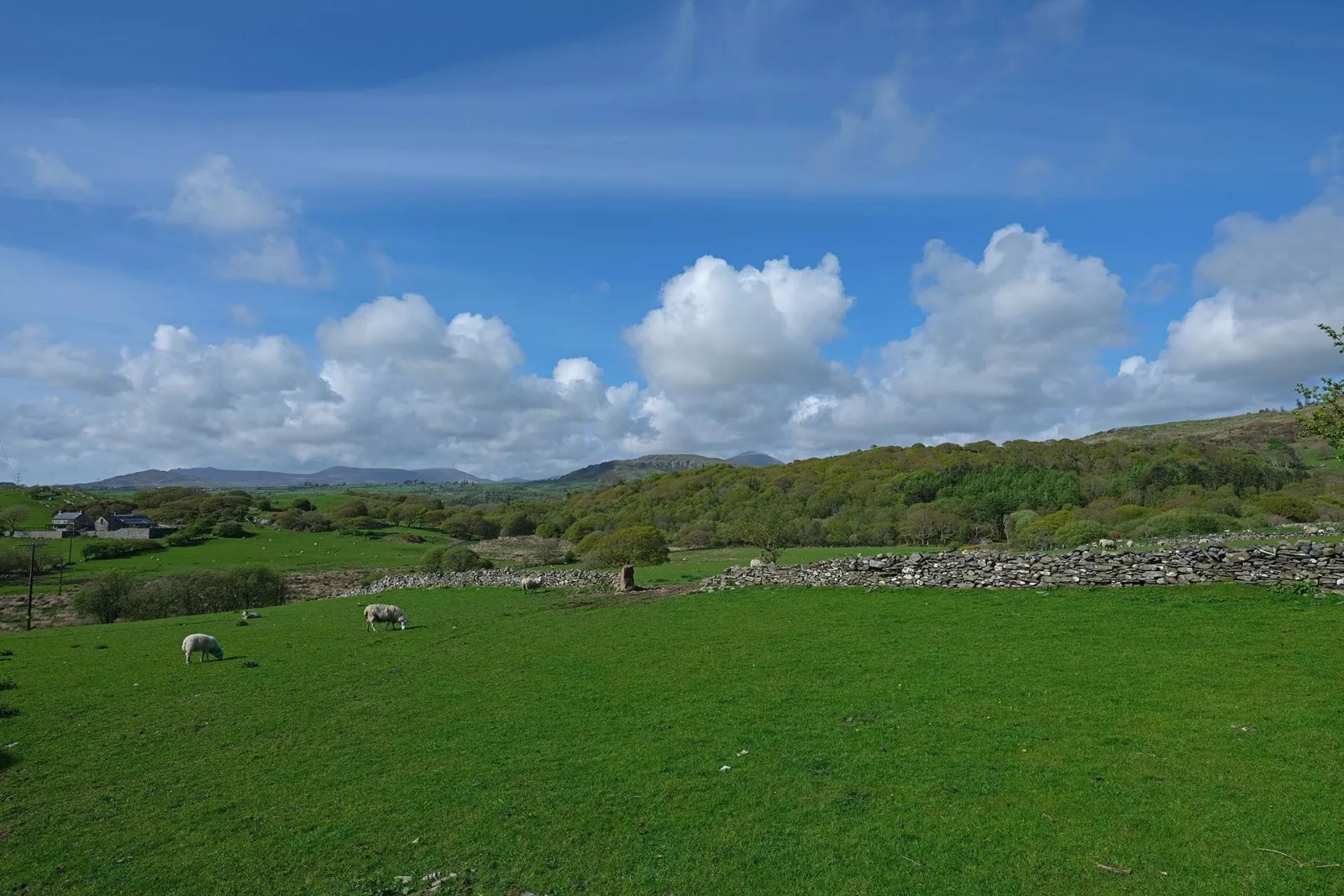 Property image 9 for SC1009086