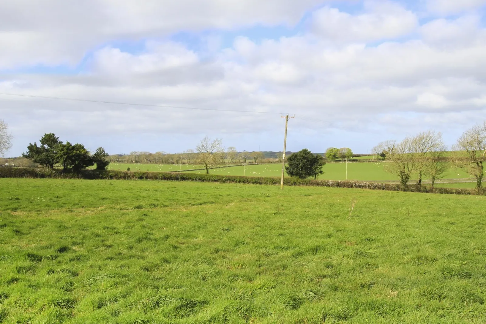 Property image 4 for SC1009110