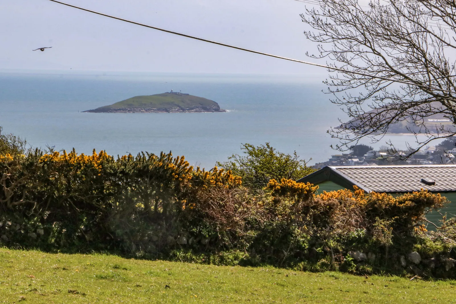 Property image 2 for SC1012804