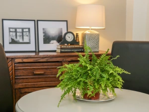 Property image 6 for SC1013314