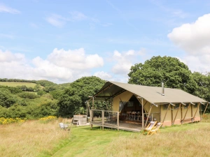 Bumble @ Stars &amp; Embers Glamping