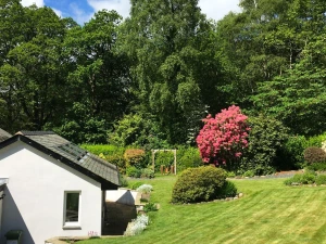 Property image 2 for SC1041290
