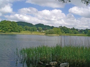 Property image 9 for SC1042227
