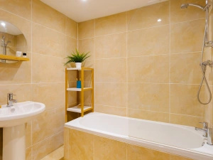 Property image 6 for SC1042480