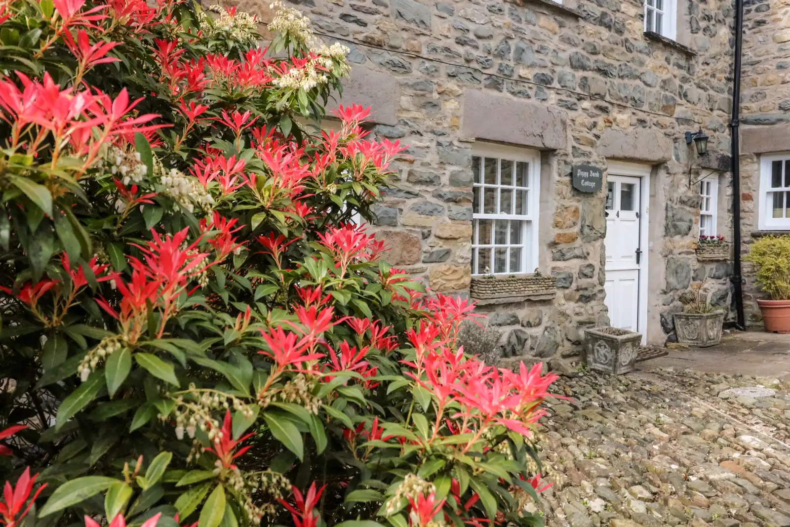 Property image 2 for SC1045067