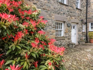 Property image 2 for SC1045067
