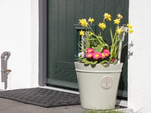 Property image 2 for SC1052924