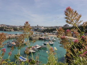 Property image 4 for SC1057260