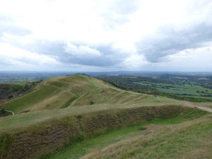 Property image 8 for SC1060927