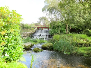 Property image 8 for SC1062548