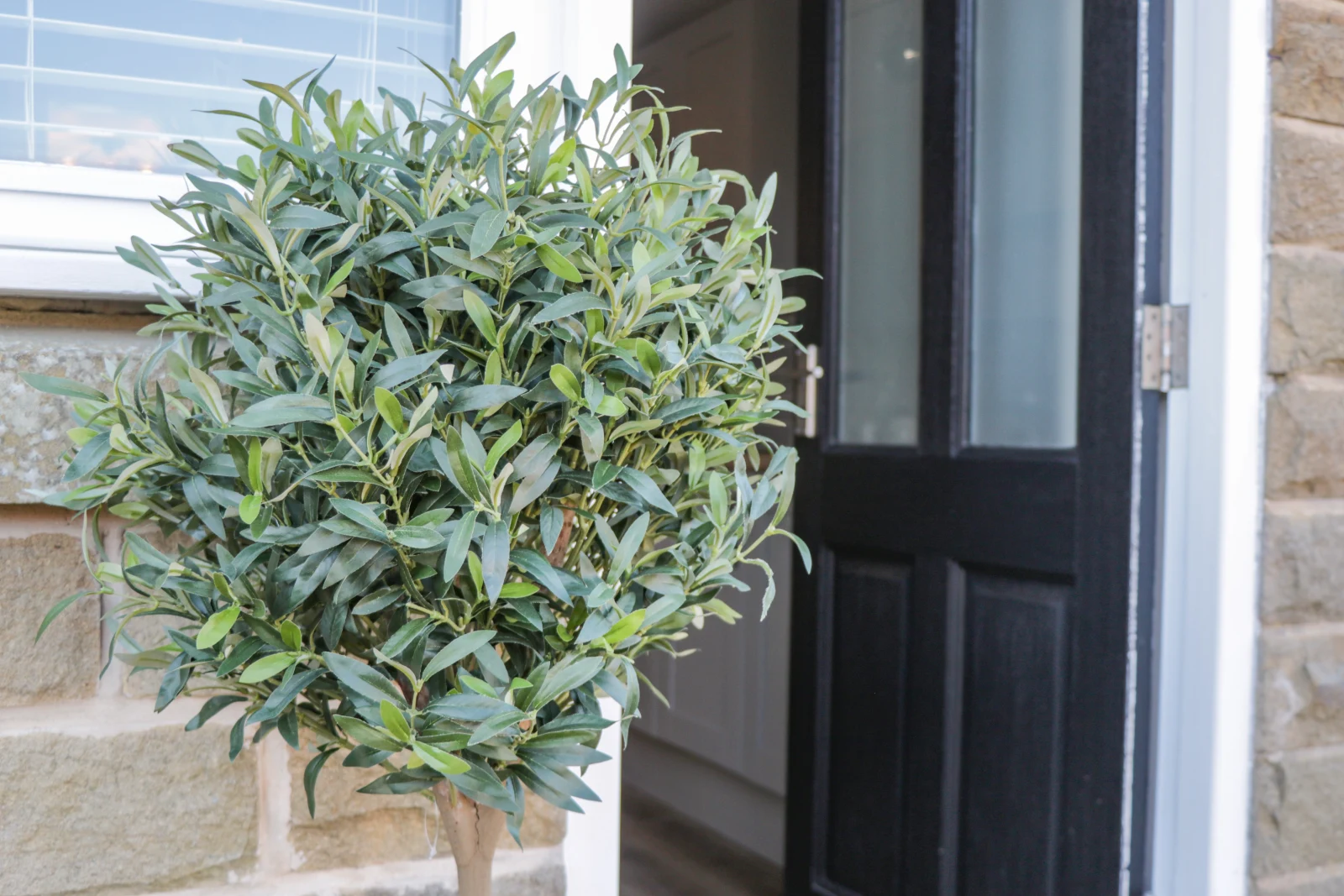 Property image 4 for SC1064722
