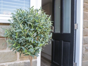 Property image 4 for SC1064722