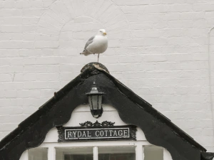 Property image 3 for SC1065532