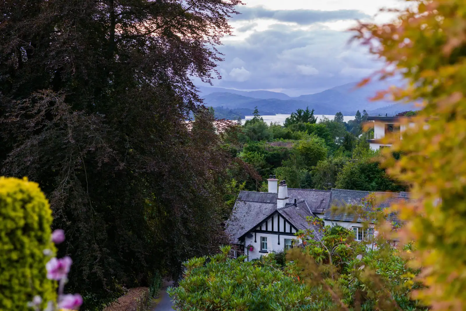 Property image 2 for SC1065820