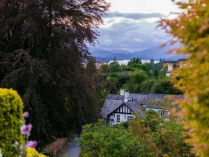Property image 2 for SC1065820