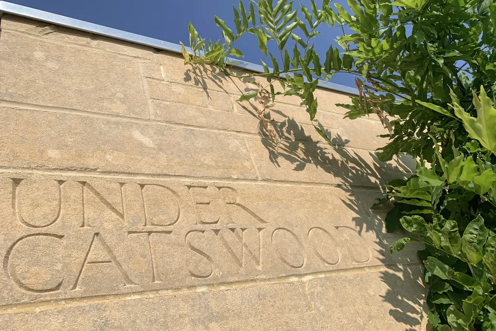 Property image 4 for SC1066428