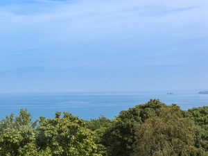 Property image 2 for SC1073908